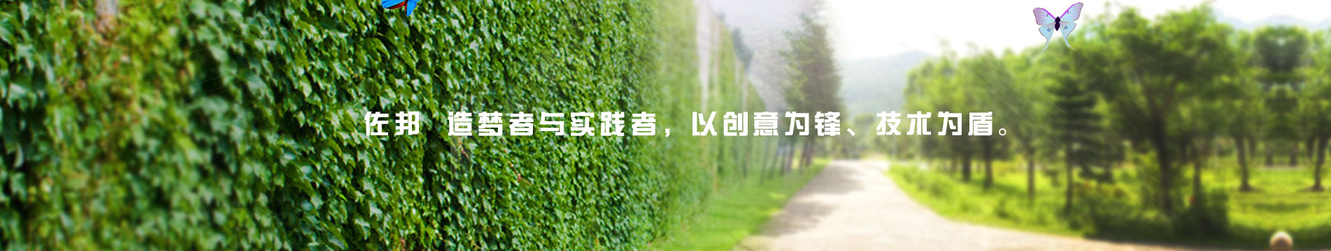 (mng)c(sh)`Ԅ(chung)hg(sh)